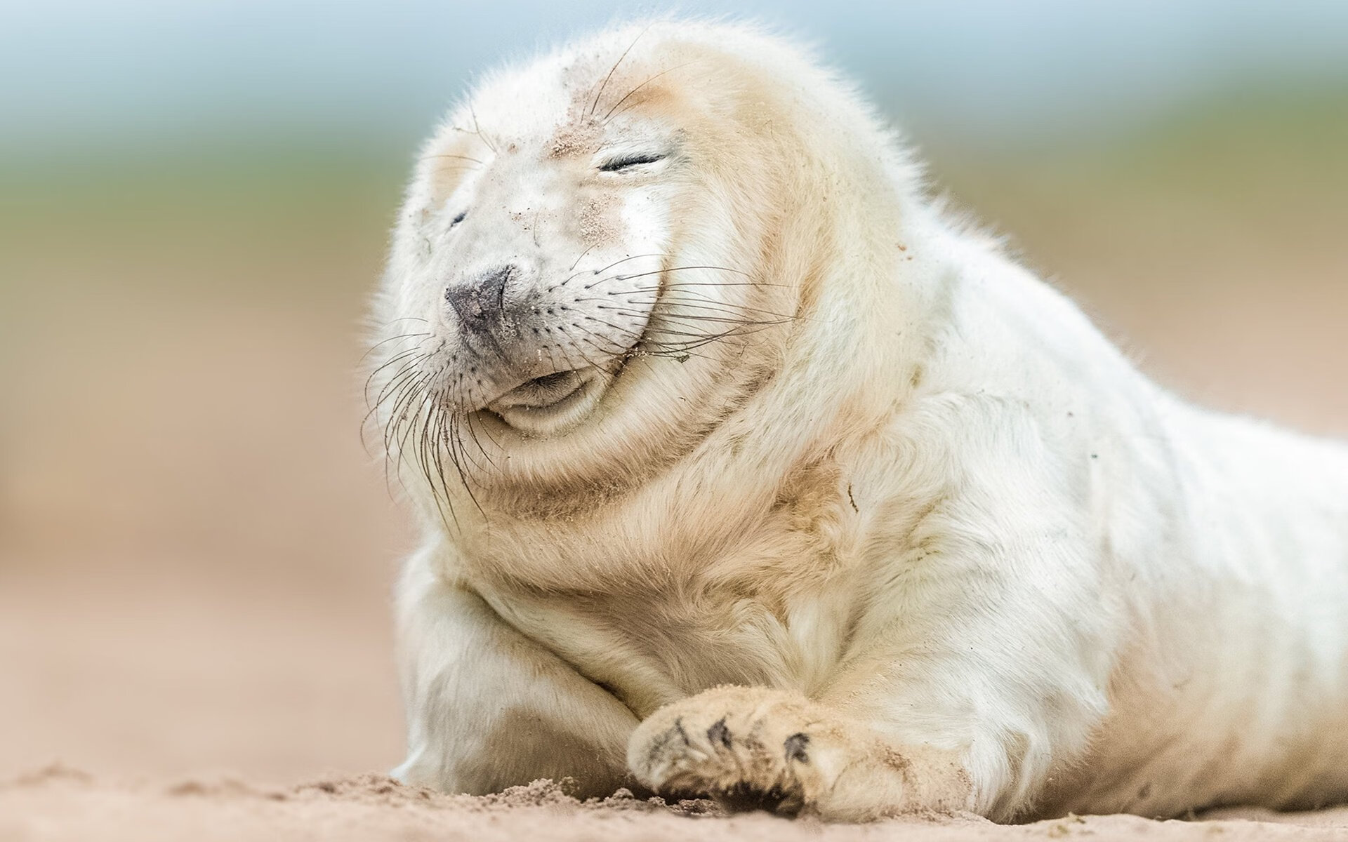 九年级英语短语大全,初三学生必背无疑,九年级英语全一册短语,句型归纳