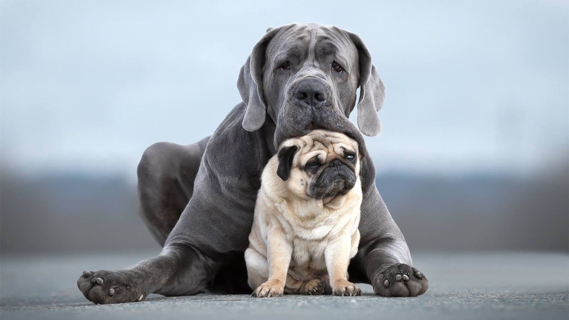 华体会官网-冯珊珊大揭秘：减肥其实很简单，躺着瘦超有效！，冯珊珊是哪里人